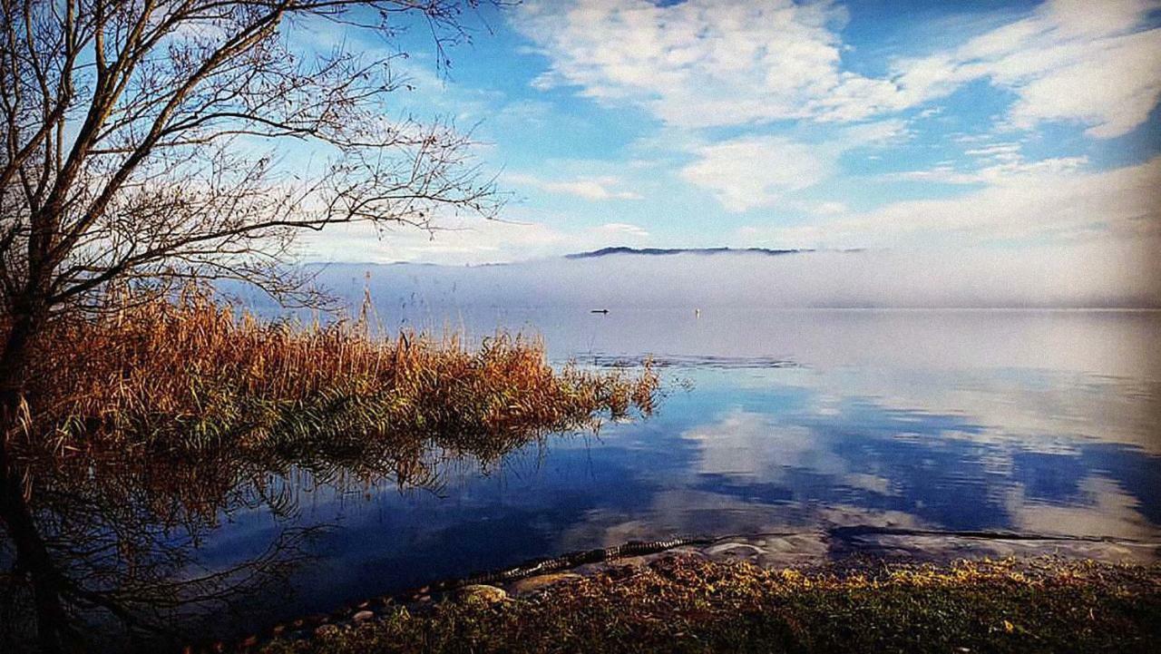 Ritratto Sul Lago Dormelletto Εξωτερικό φωτογραφία
