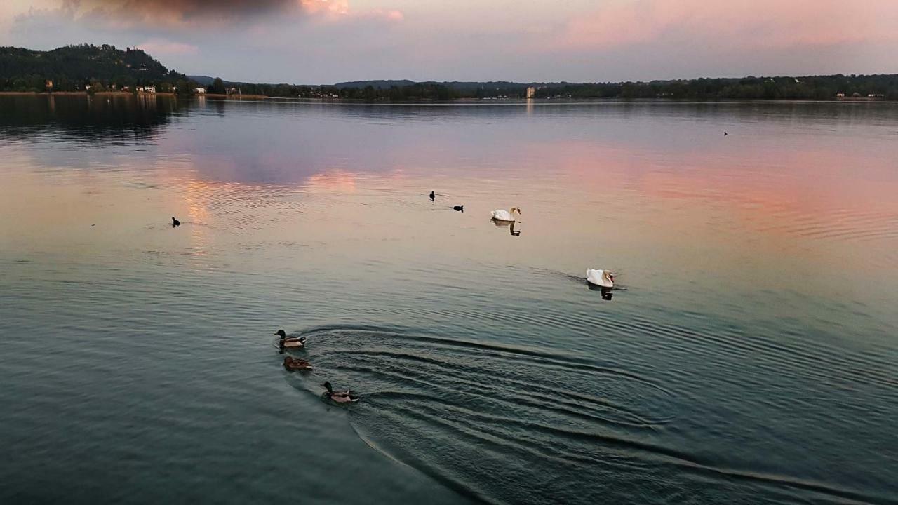 Ritratto Sul Lago Dormelletto Εξωτερικό φωτογραφία